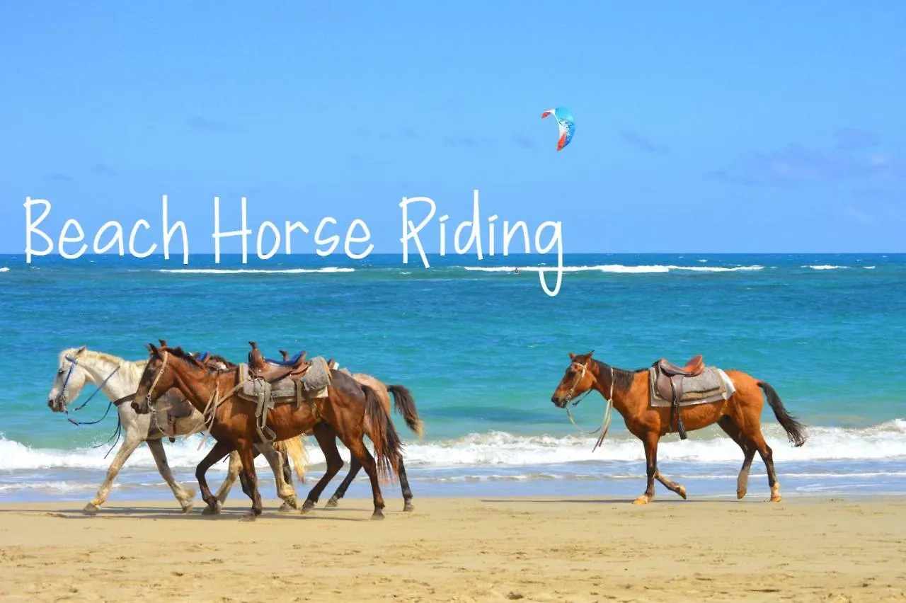 Condo Cabrinha - Direct On Kite Beach 喀巴里特