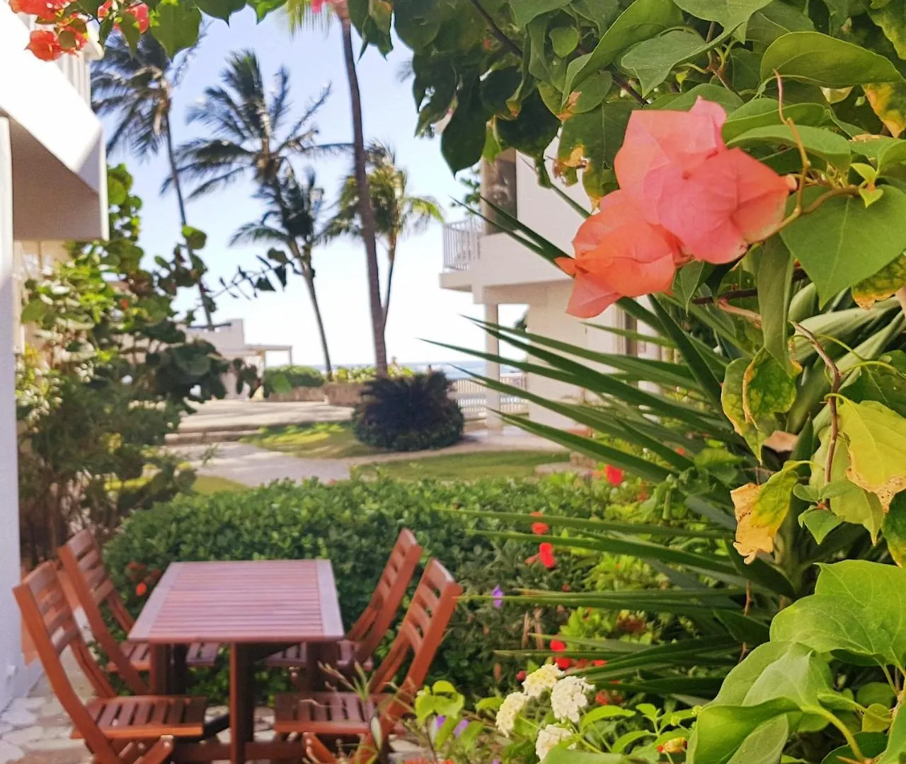 Homestay Condo Cabrinha - Direct On Kite Beach Cabarete